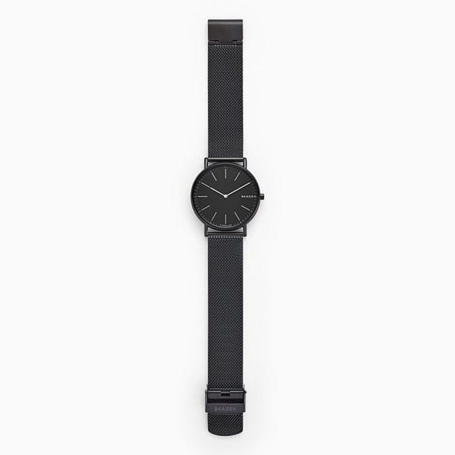 Skagen Signatur Titanium SKW6484 Twoje Zegarki