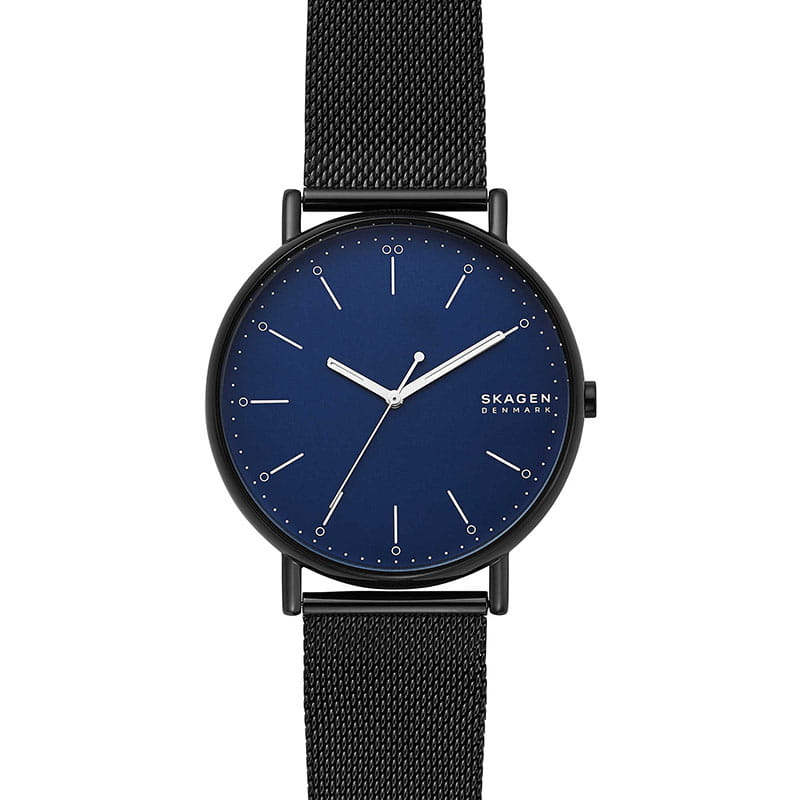 Skagen Siganatur SKW6529 Twoje Zegarki