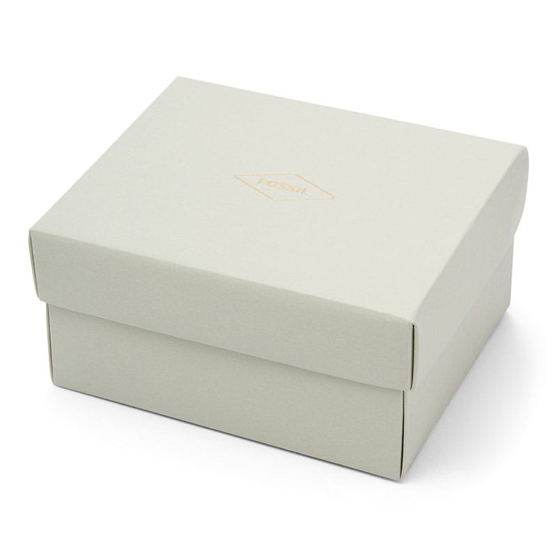 Fossil The Minimalist FS5557SET Twoje Zegarki