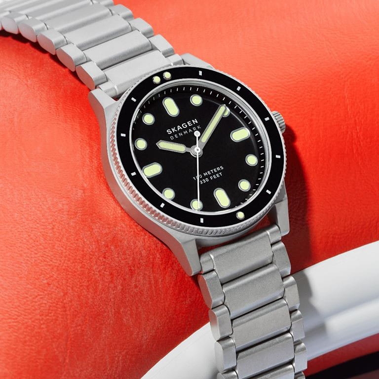 Skagen Fisk SKW6666 Twoje Zegarki