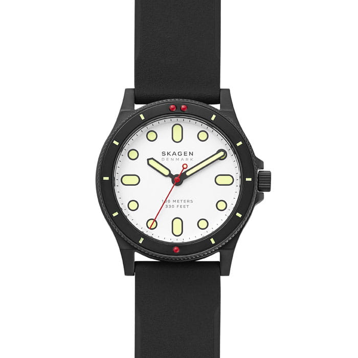 Skagen Fisk SKW6667 Twoje Zegarki