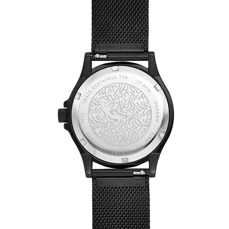 Skagen Fisk Lady SKW2917 Twoje Zegarki