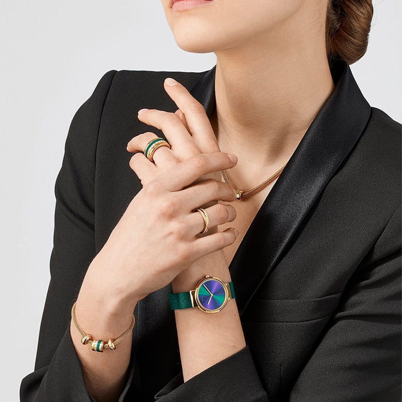Bering Classic Lady 19031-828 Twoje Zegarki