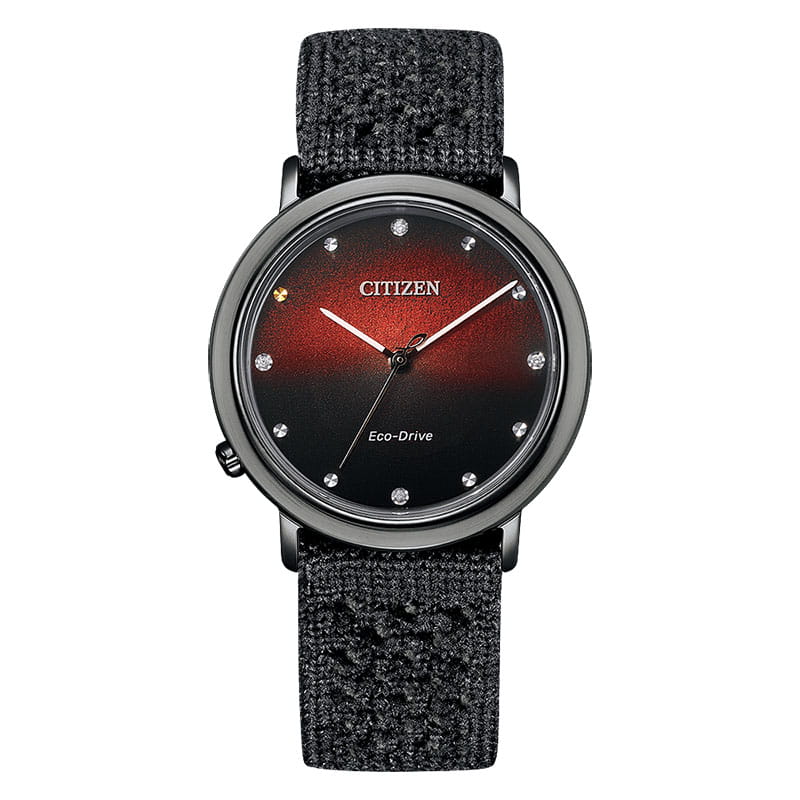 Citizen L EM1007-47E Twoje Zegarki