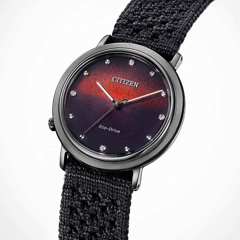 Citizen L EM1007-47E Twoje Zegarki