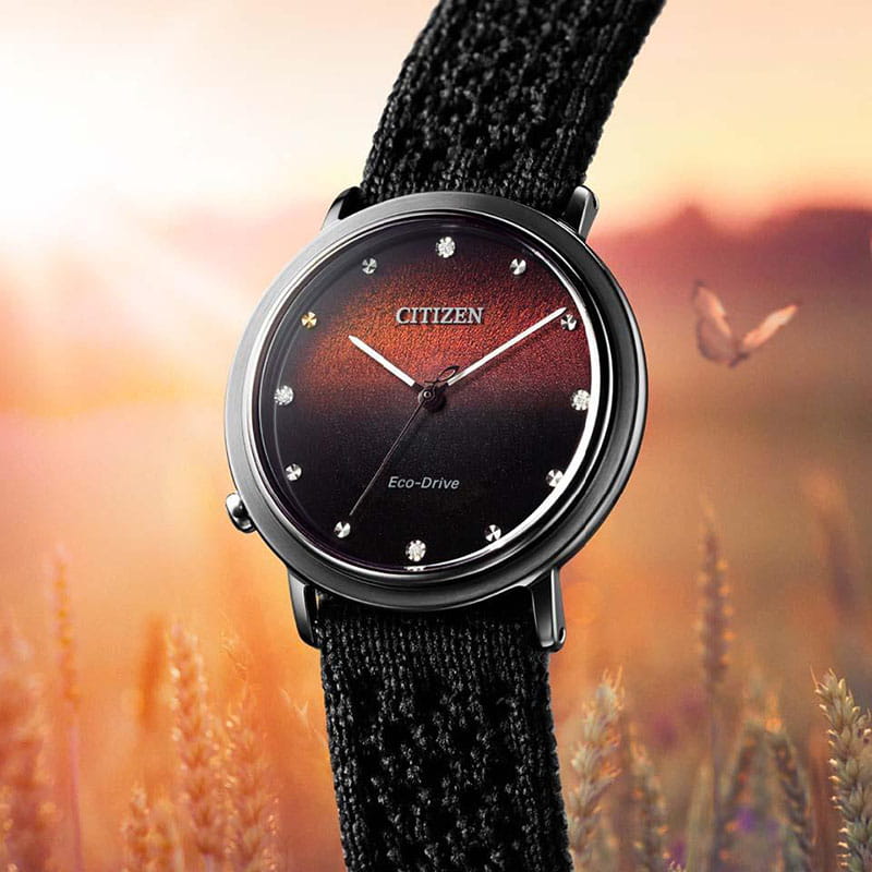 Citizen L EM1007-47E Twoje Zegarki