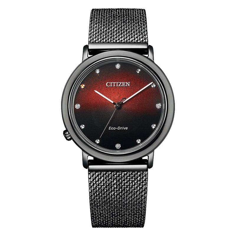 Citizen L EM1007-47E Twoje Zegarki