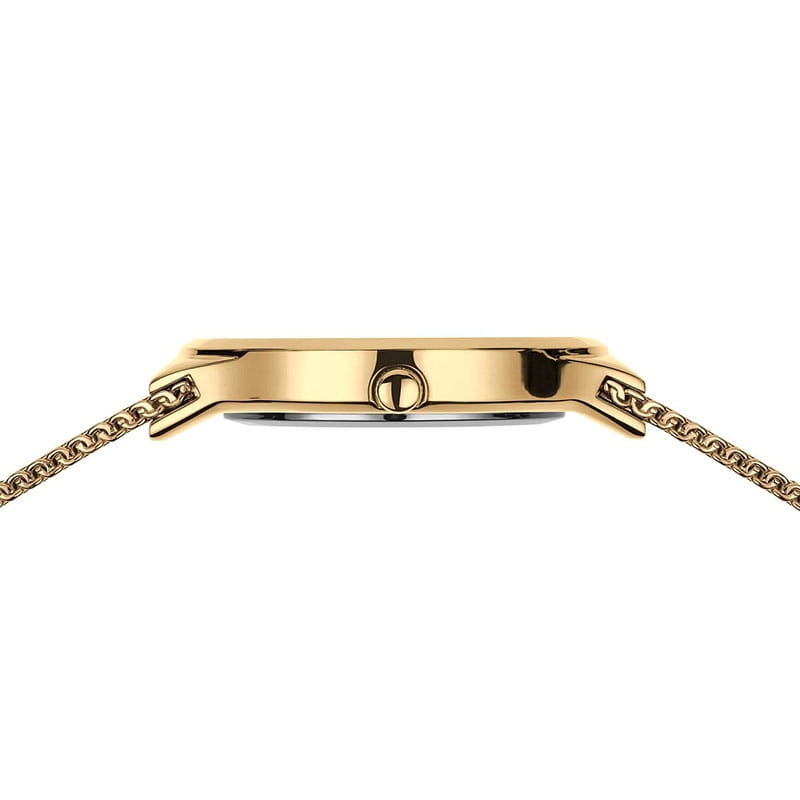 Bering Classic 12131-339-GWP Twoje Zegarki