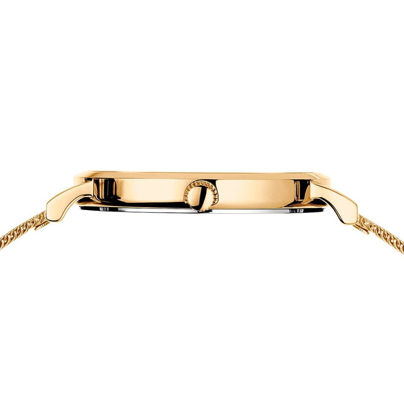 Bering Classic Lady 14134-331 Twoje Zegarki