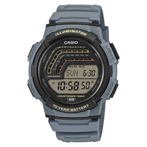 Zegarek Casio Timeless WS18002A