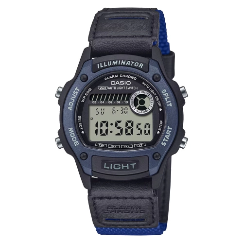 Zegarek Casio Timeless W220HF2A