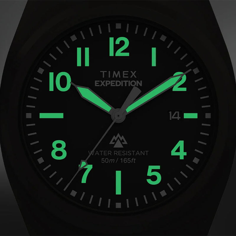 Timex Expedition Capstone TW2Y18000
