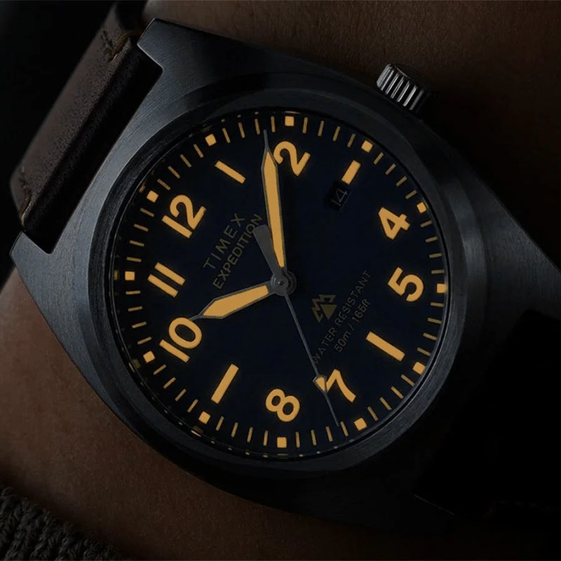 Timex Expedition Capstone TW2Y30600 - powłoka luminescencyjna na wskazówkach oraz cyfrach