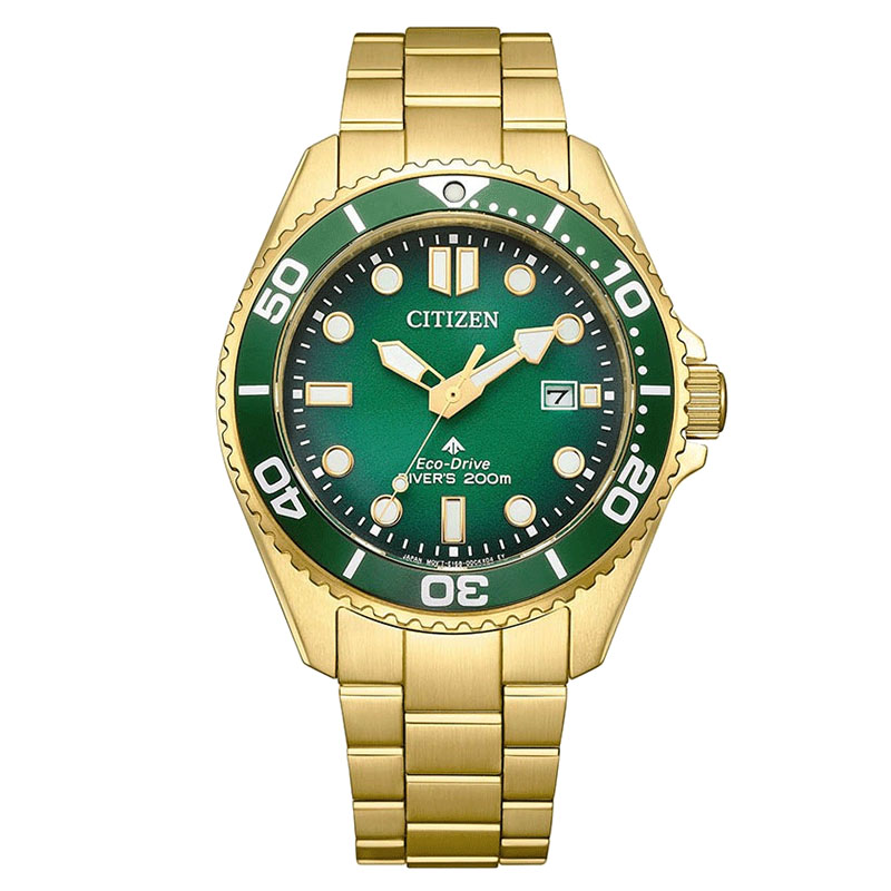 Citizen Promaster Eco-Drive Diver 200M BN0262-59W